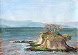 China camp state park, san Rafael, California landscape pastel drawing